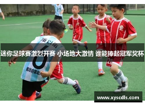 迷你足球赛激烈开赛 小场地大激情 谁能捧起冠军奖杯